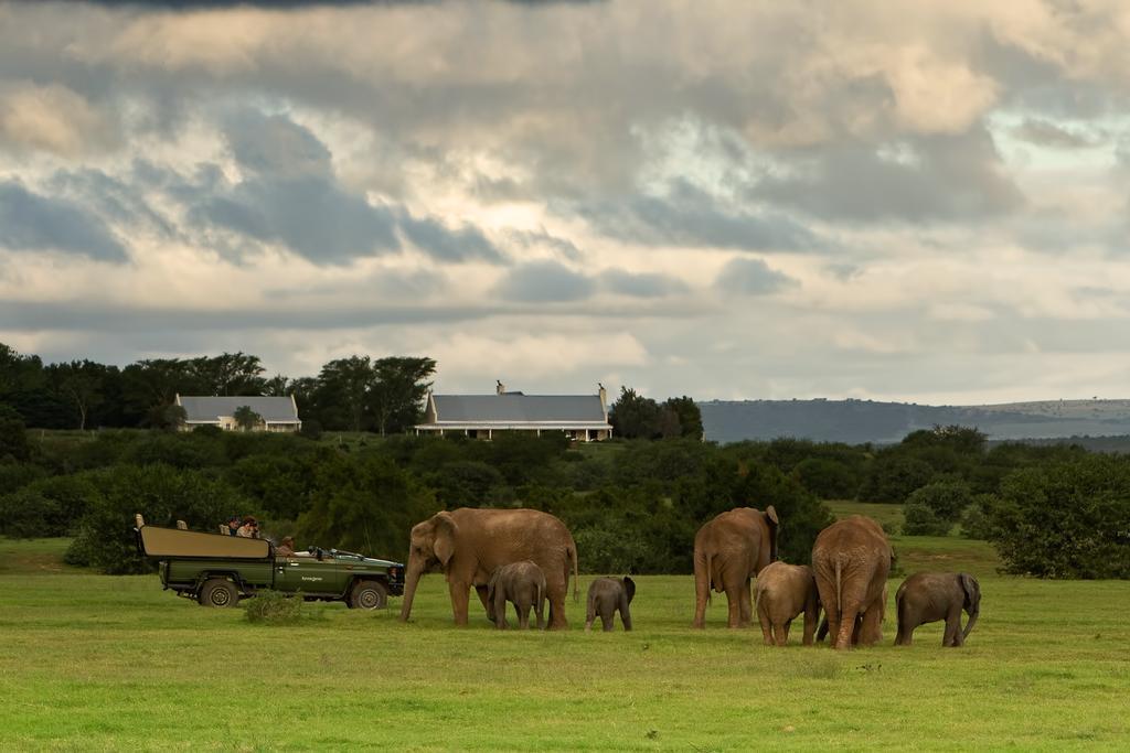 Riverbend Lodge Addo Exterior foto