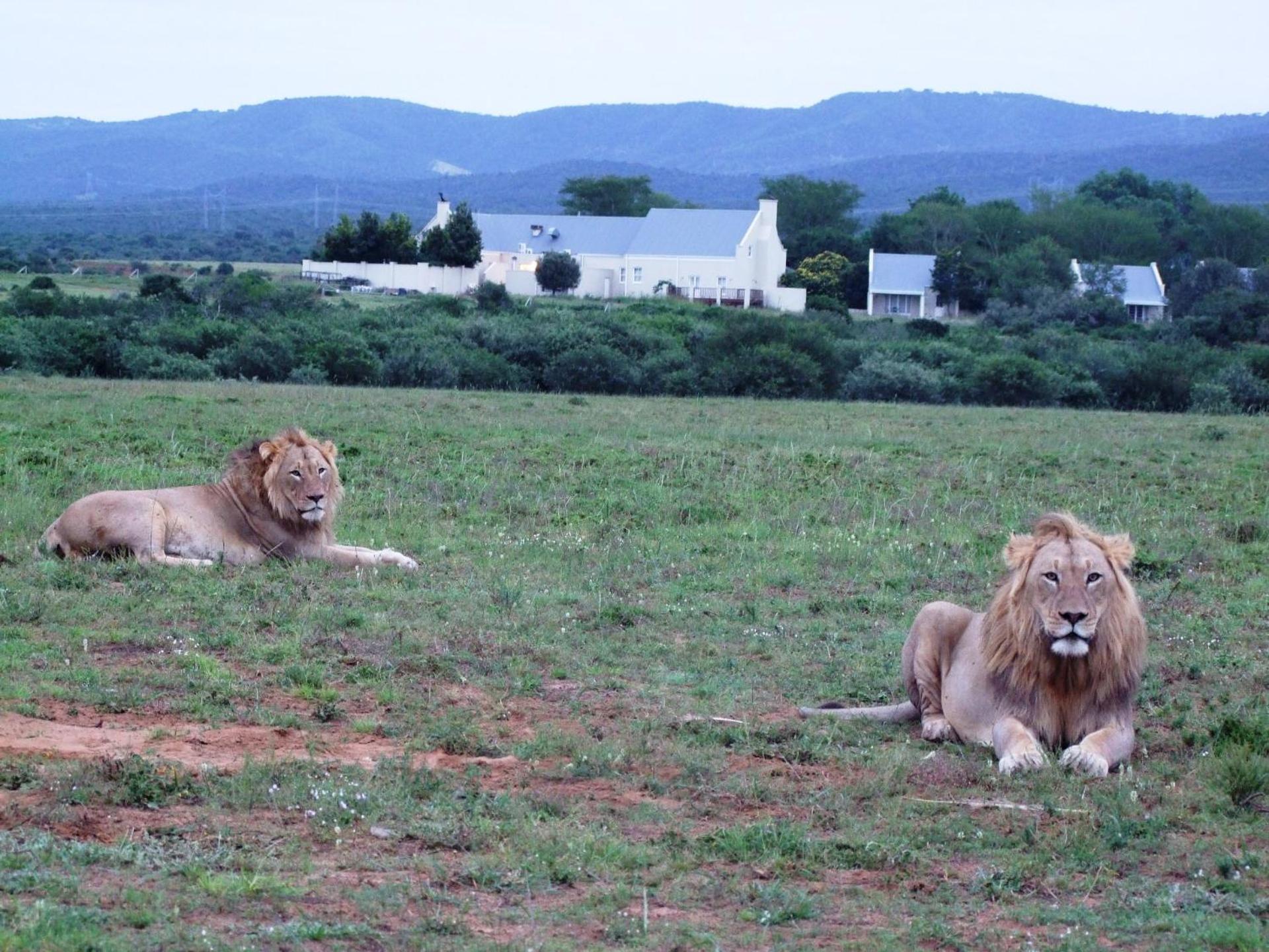 Riverbend Lodge Addo Exterior foto