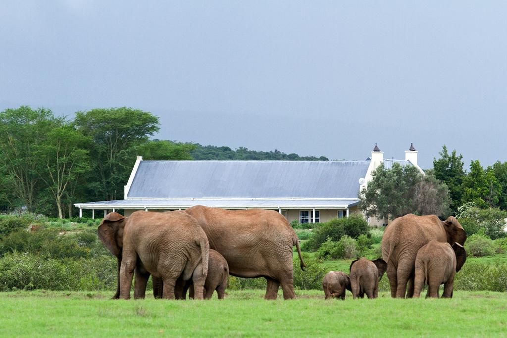 Riverbend Lodge Addo Exterior foto