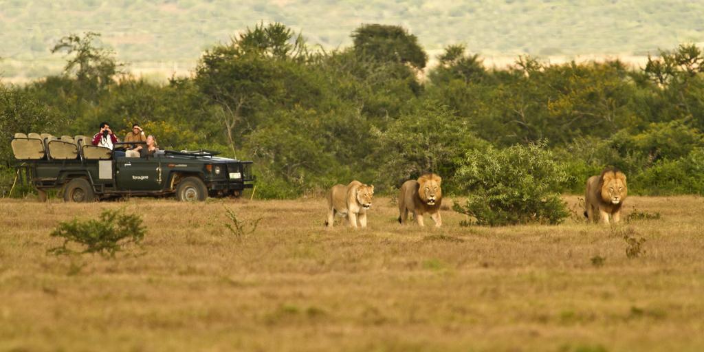 Riverbend Lodge Addo Exterior foto