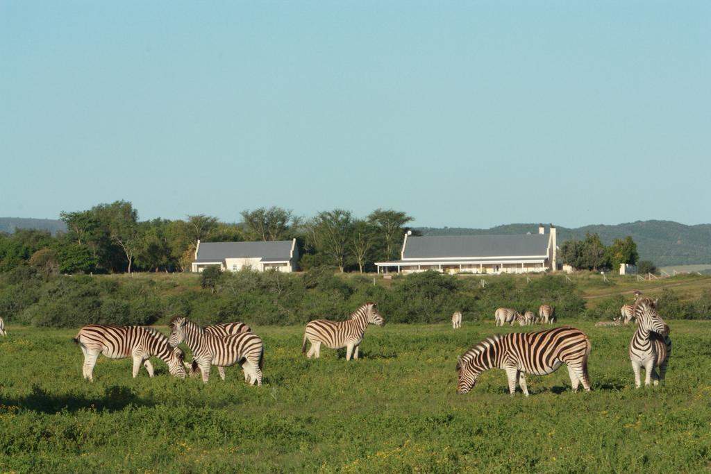 Riverbend Lodge Addo Exterior foto