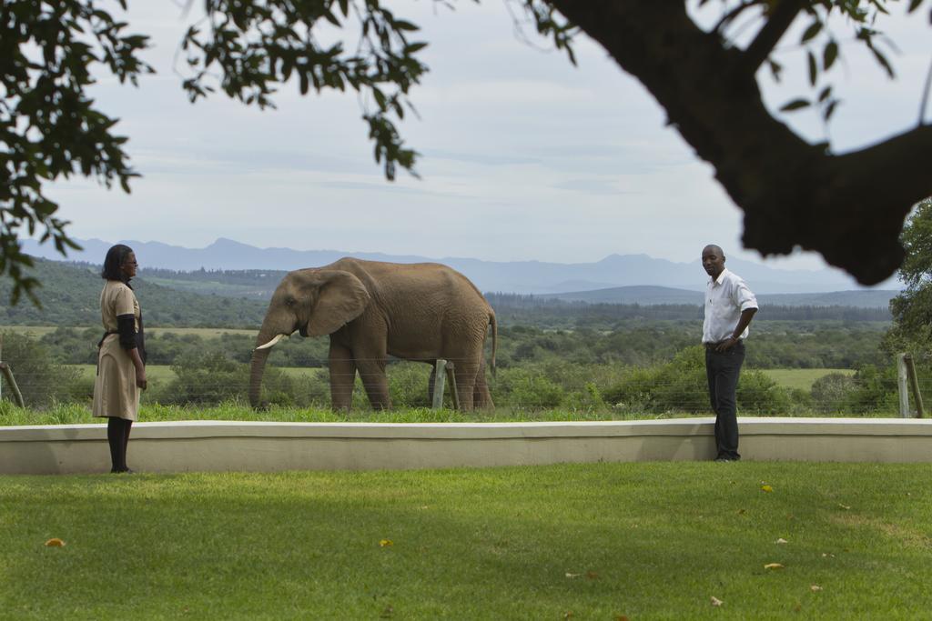 River Bend Lodge Addo Exterior foto